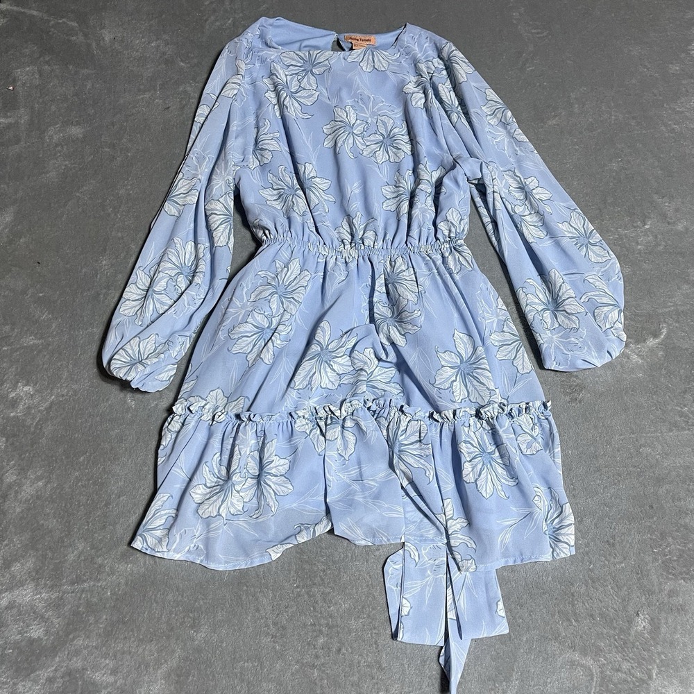 Flying Tomato Dress Womens Small Blue Floral Chiffon‎ Blouson Long Sleeve Beach